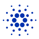coin image